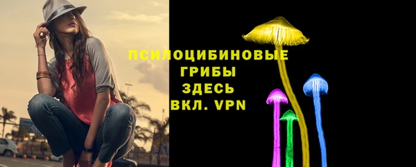 дживик Алексеевка