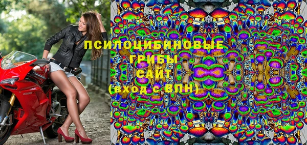 ешки Алексин