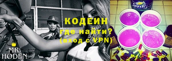 дживик Весьегонск