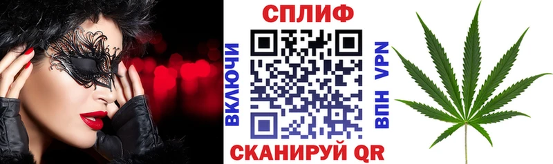 Бошки Шишки планчик  Дедовск 
